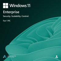 w11enterprise-big